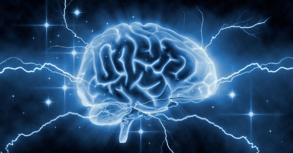 Ученые вырастили мозг, который вдруг начал функционировать